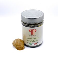 Lumache trifolate